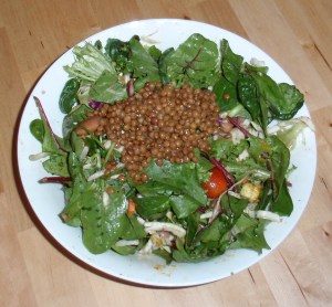 Warm Bean & Lentil Salad by Sandy Bröcking